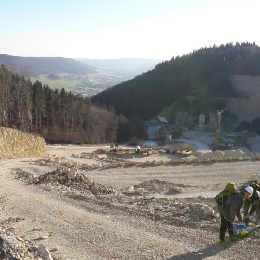 Weißjura-Steinbruch der Fa. Brugger, Dürbheim (Schwäbische Alb)