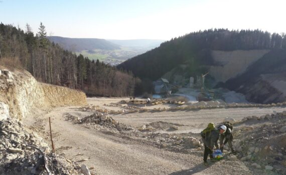 Weißjura-Steinbruch der Fa. Brugger, Dürbheim (Schwäbische Alb)
